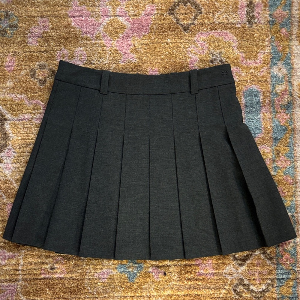 Aritzia skirt